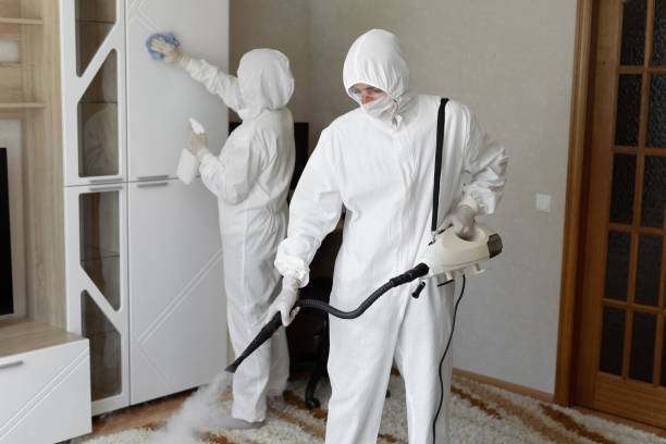 Trusted Hoarding Cleanup service in Webster, FL - Four Month Blood Cleanse
